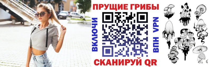 Купить где  Каменка  Галлюциногенные грибы мицелий 